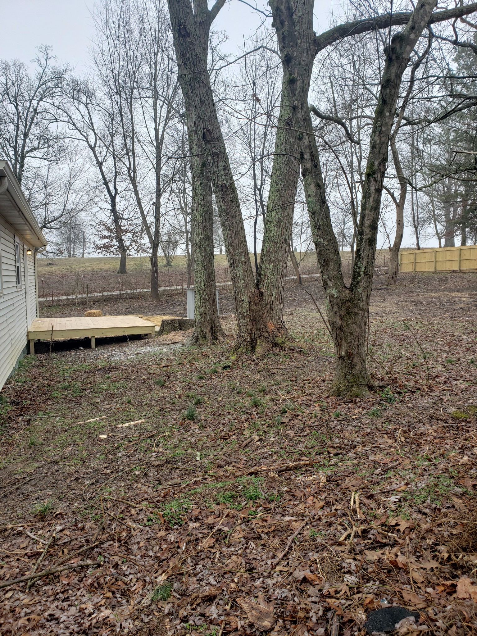 114 Mt Horeb Road Ethridge, TN 38456 - Photo 15 of 16 Gallery Image 15