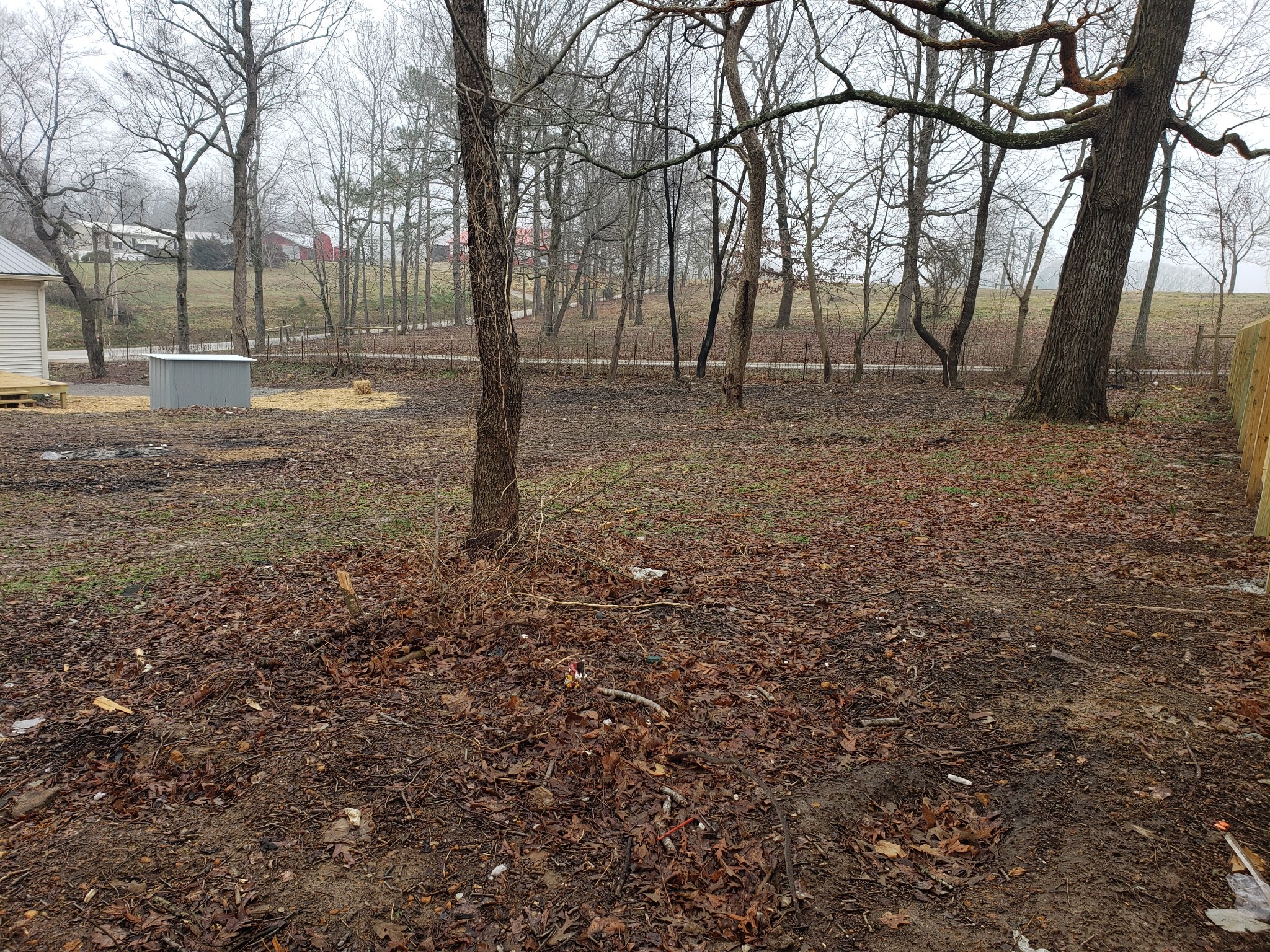 114 Mt Horeb Road Ethridge, TN 38456 - Photo 16 of 16 Gallery Image 16