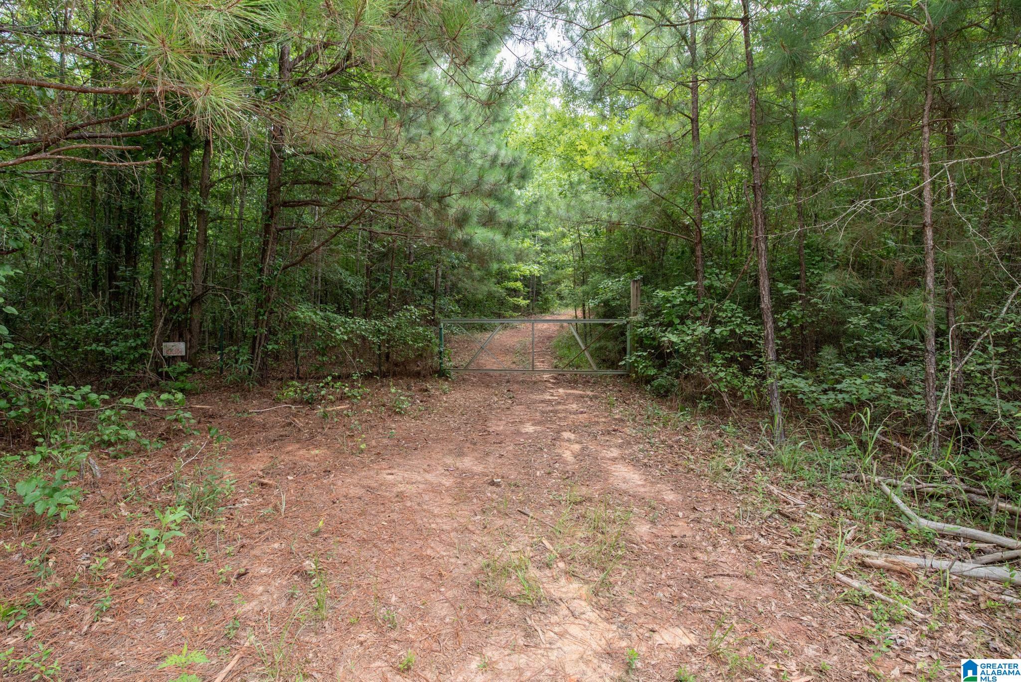 3025 Potato Patch Creek Road Marion, AL 36756 - Photo 12 of 24