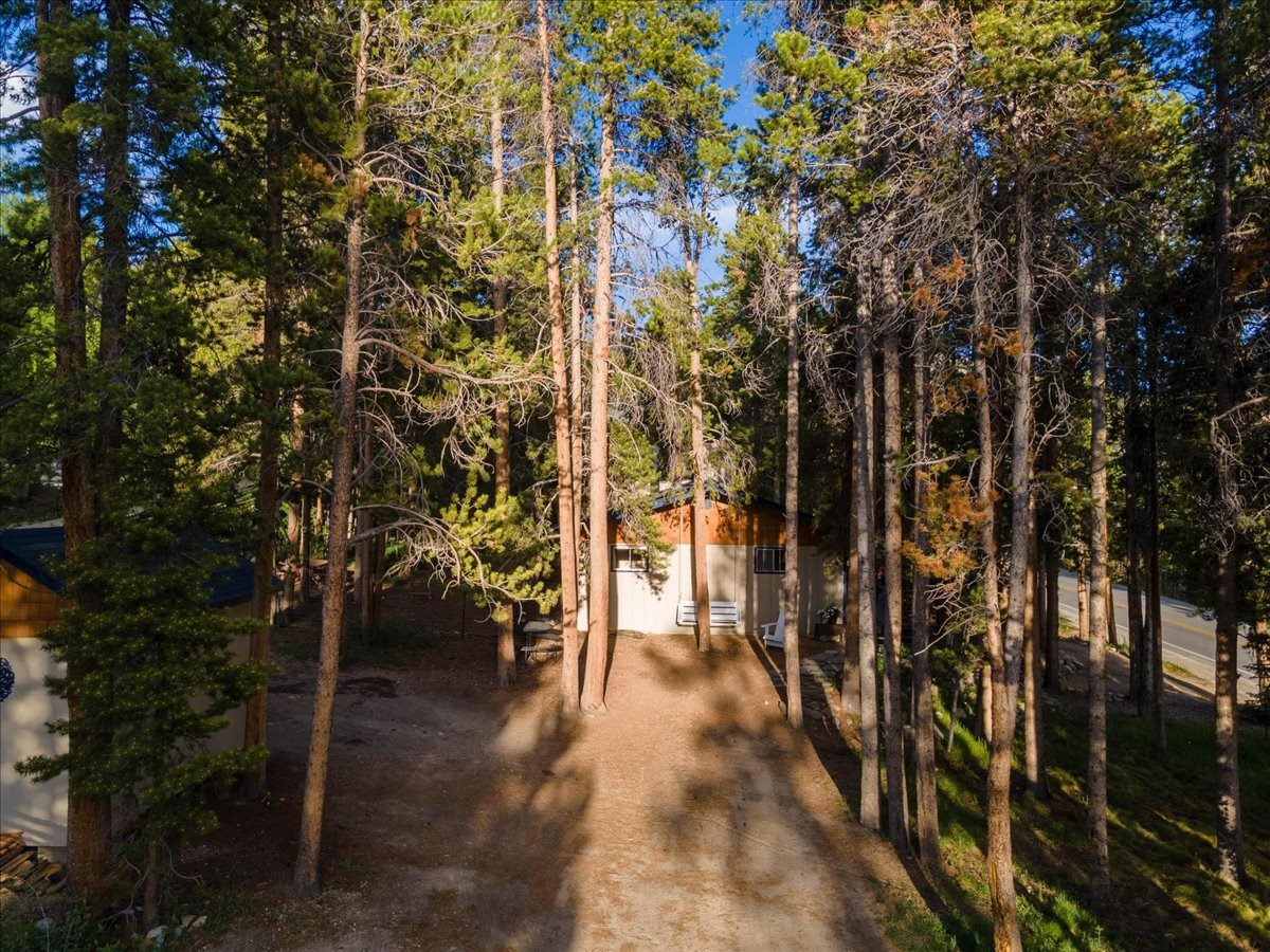 1981 Boreas Pass Road Breckenridge, CO 80424 - Photo 23 of 50