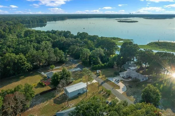 an aerial view of green landscape with trees houses and mountain view