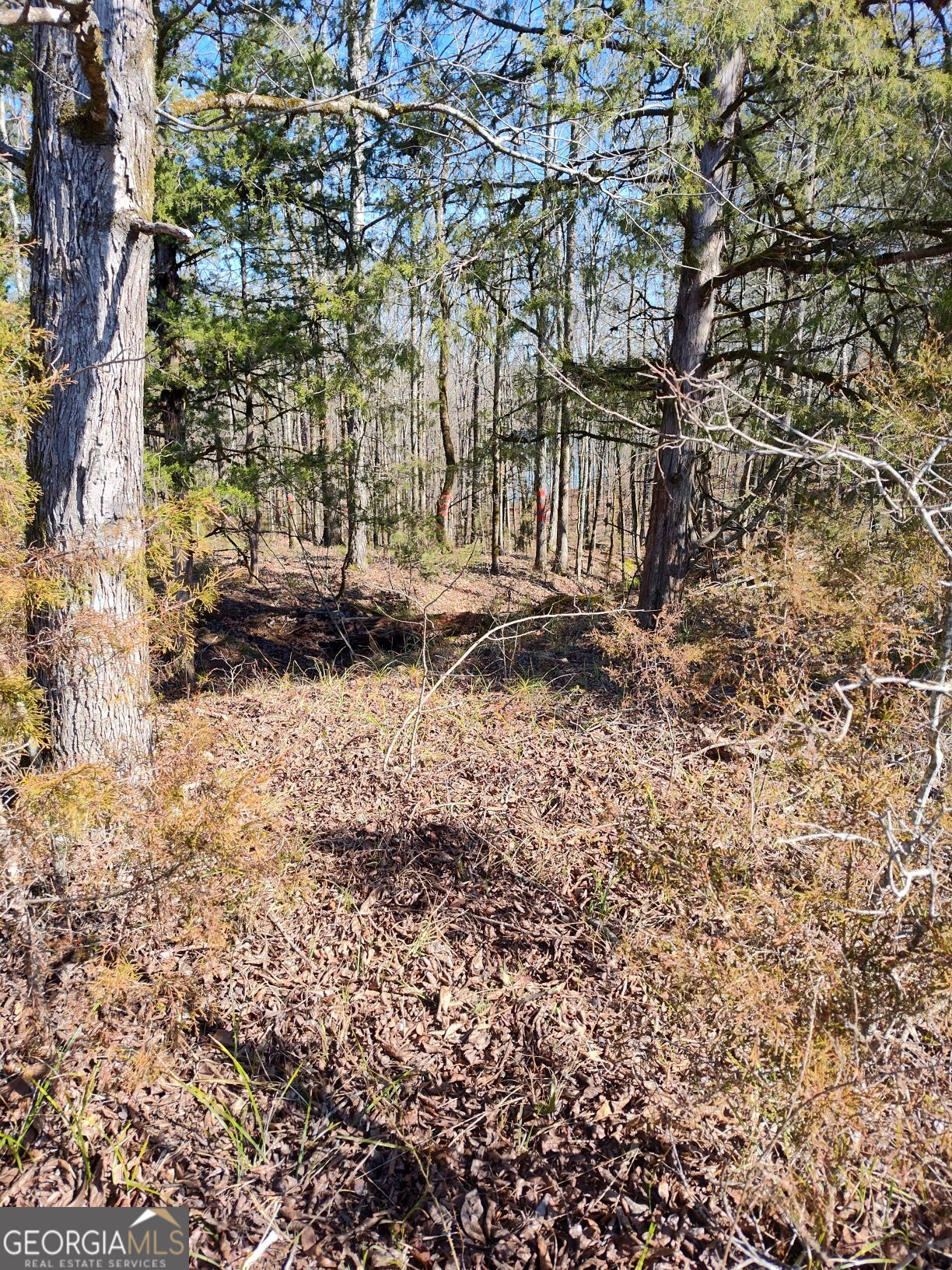 1862 Pearl Mill Road Elberton, GA 30635 - Photo 14 of 16 a view of outdoor space and a yard