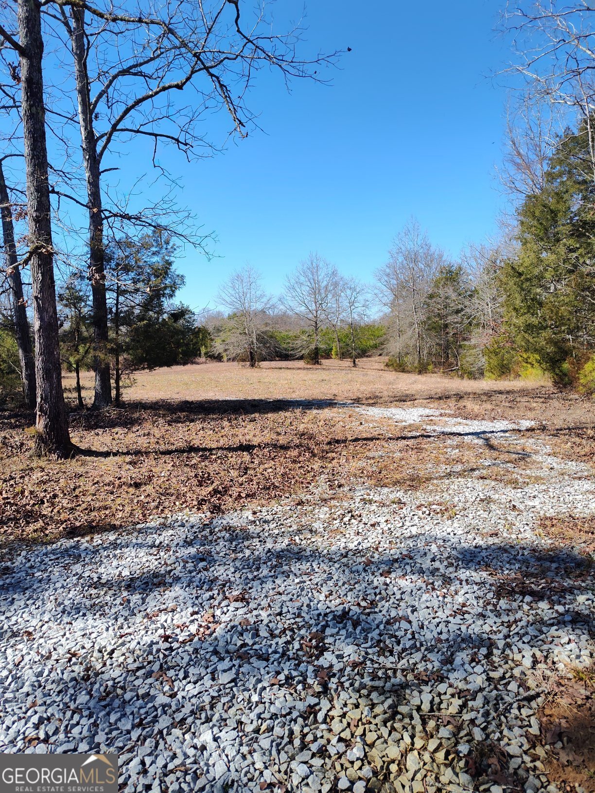 1862 Pearl Mill Road Elberton, GA 30635 - Photo 15 of 16 a view of a yard with wooden fence