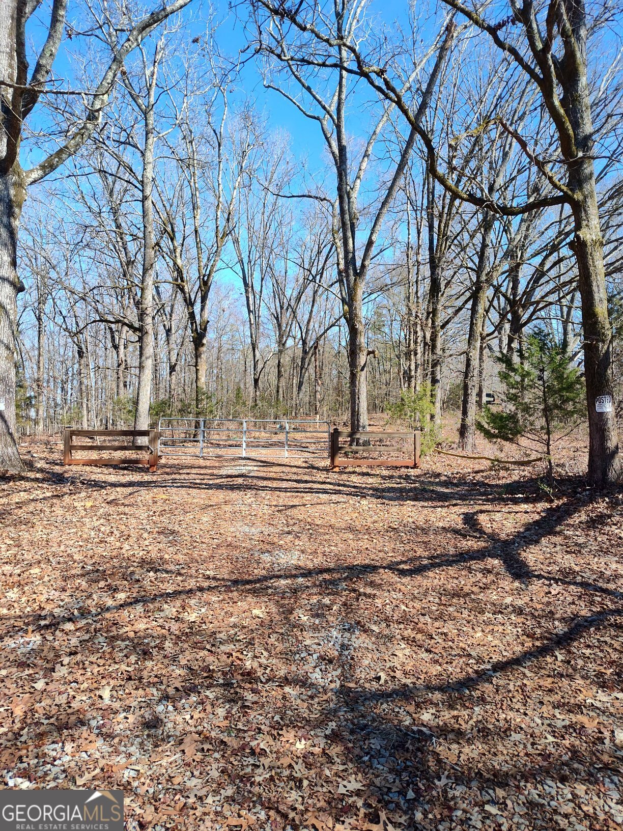 1862 Pearl Mill Road Elberton, GA 30635 - Photo 2 of 16 a view of dirt yard with a large tree