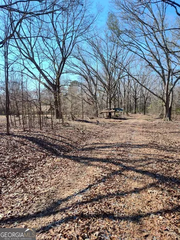a view of backyard and wooden fence