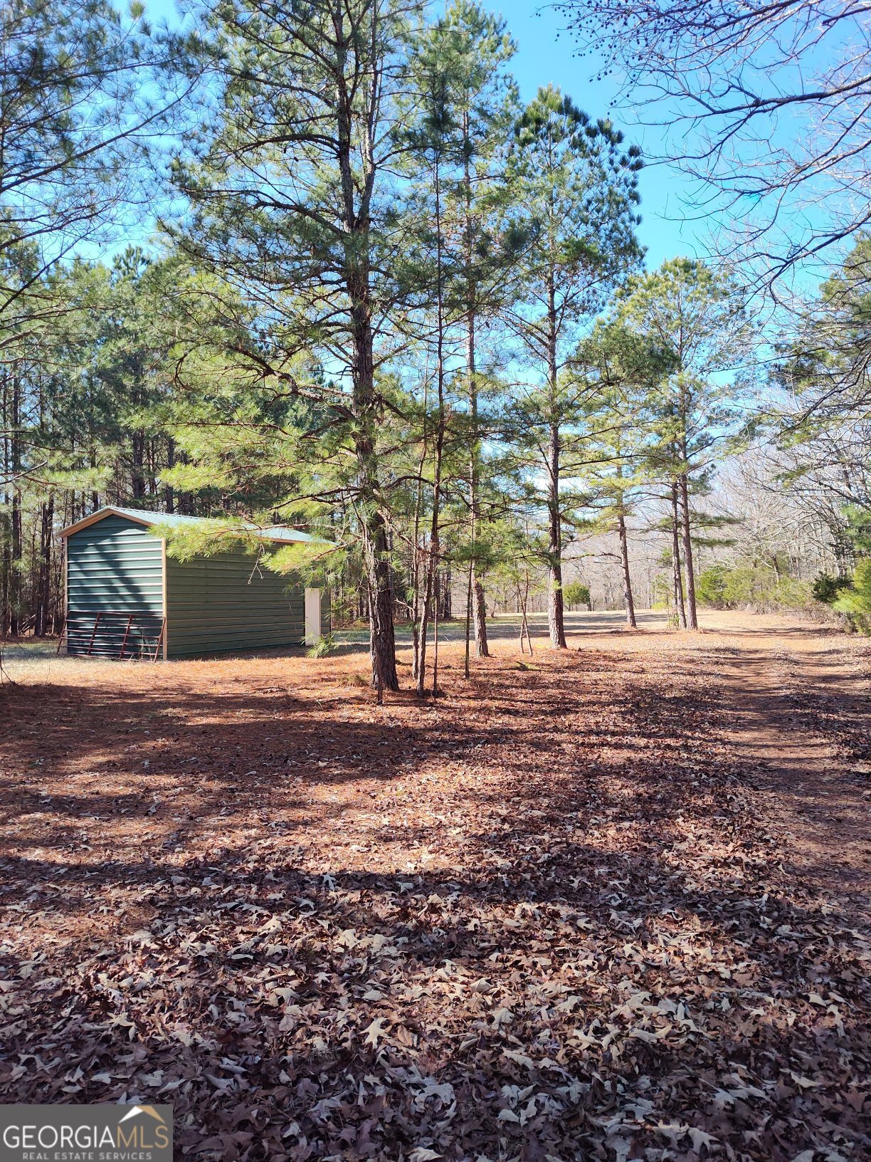 1862 Pearl Mill Road Elberton, GA 30635 - Photo 5 of 16 a view of a yard