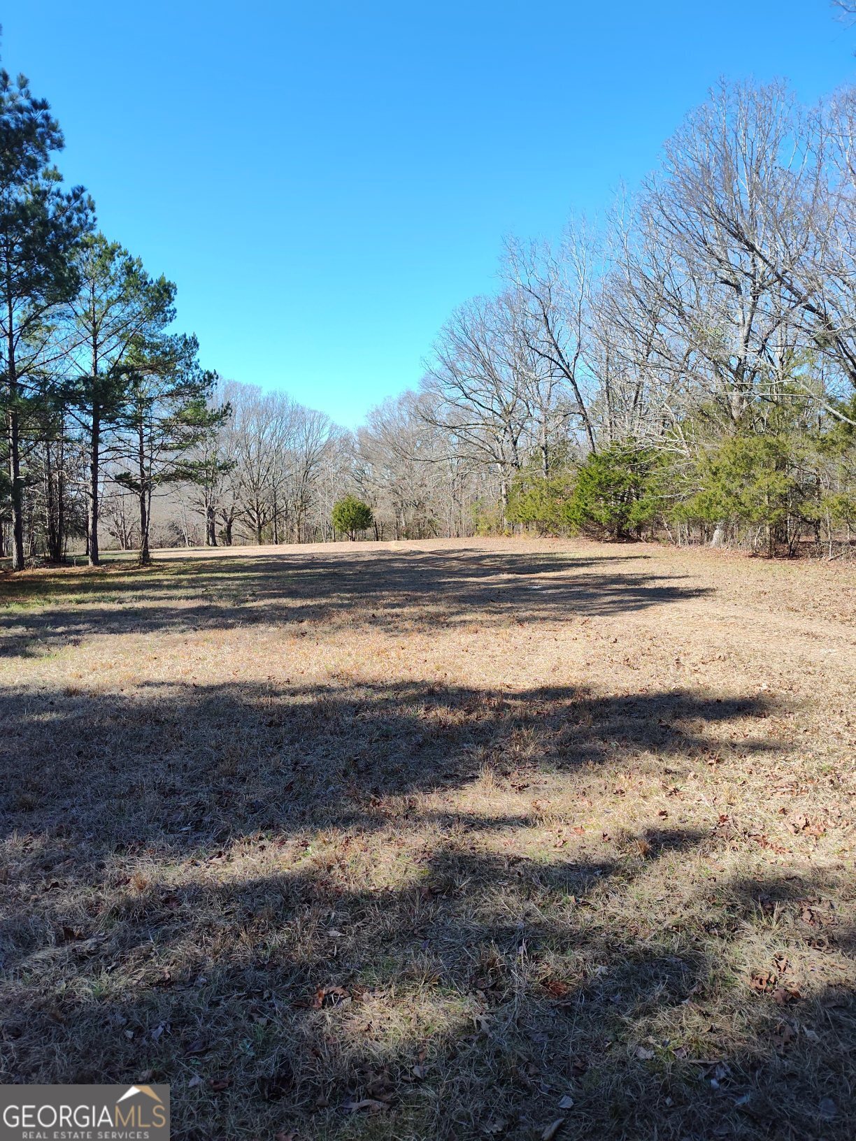 1862 Pearl Mill Road Elberton, GA 30635 - Photo 6 of 16 a view of ocean view with beach