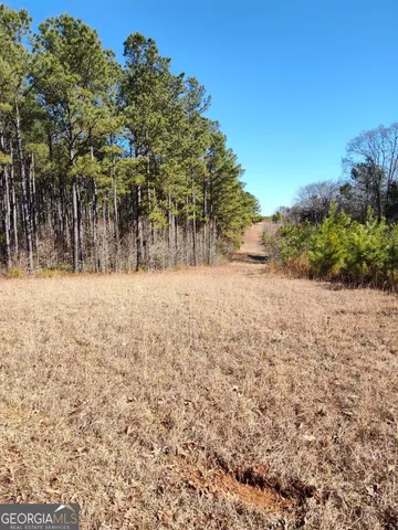 a view of a yard with trees
