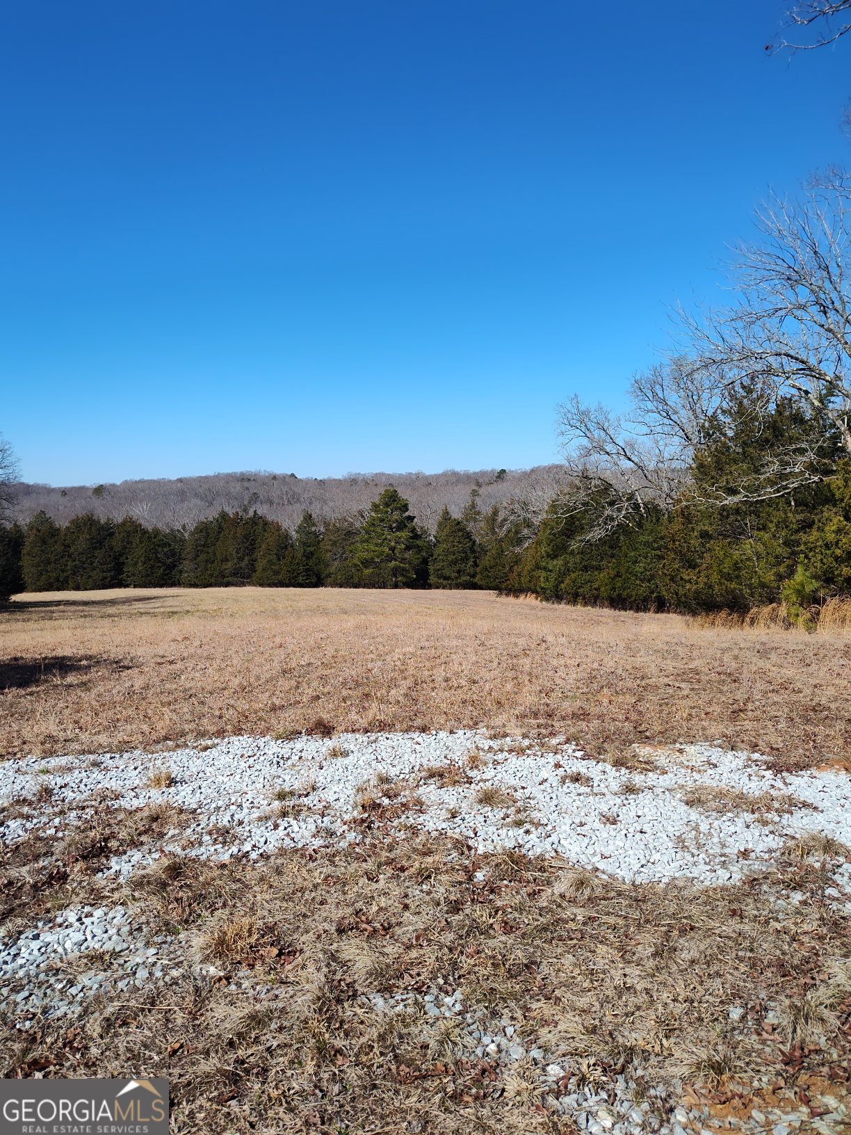 1862 Pearl Mill Road Elberton, GA 30635 - Photo 9 of 16