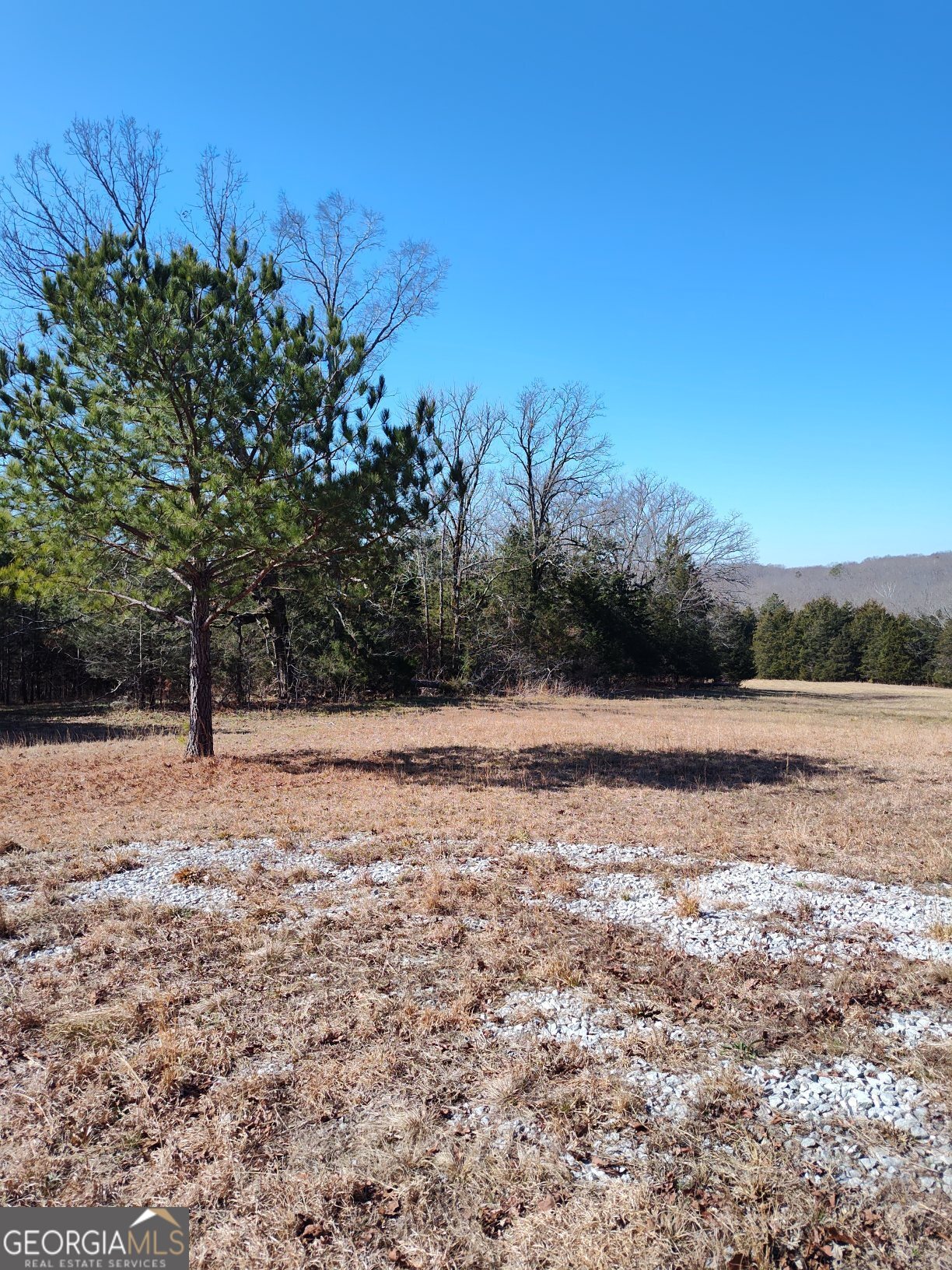 1862 Pearl Mill Road Elberton, GA 30635 - Photo 10 of 16 a view of mountain view with large trees