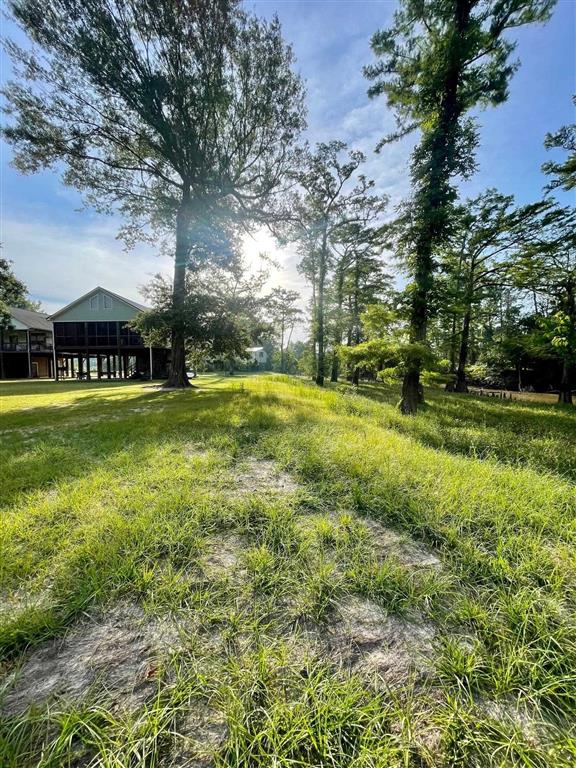 Tbd Old Ferry Road Kinder, LA 70648 - Photo 2 of 5 Gallery Image 2