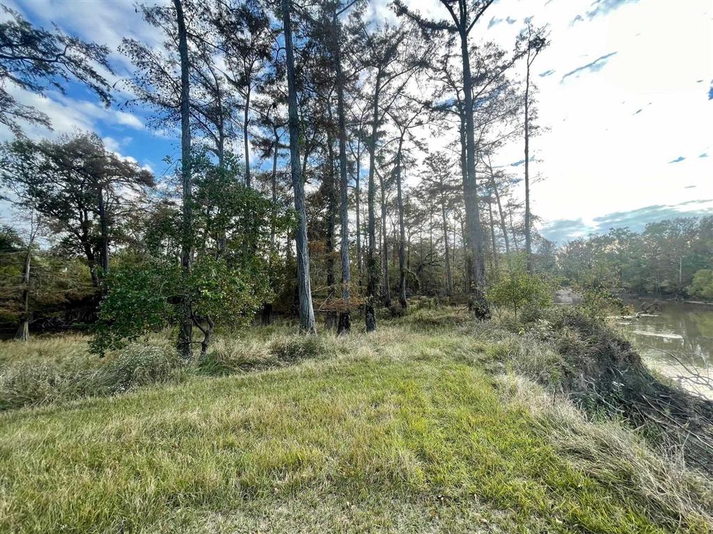 Tbd Old Ferry Road Kinder, LA 70648 - Photo 4 of 5 Gallery Image 4