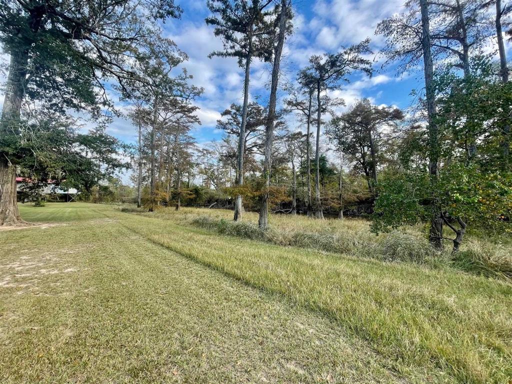 Tbd Old Ferry Road Kinder, LA 70648 - Photo 5 of 5 Gallery Image 5