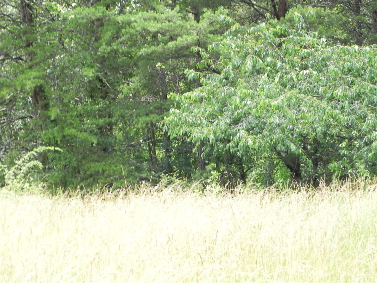 9999 Sasser School Road London, KY 40744 - Photo 24 of 53 Listing Photo