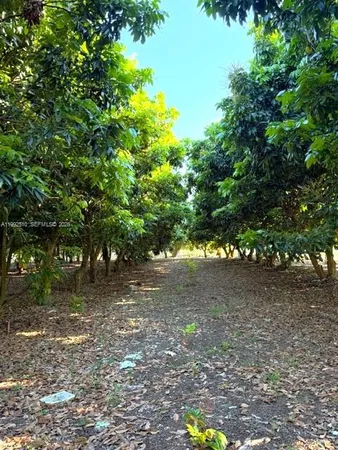 a view of backyard with green space