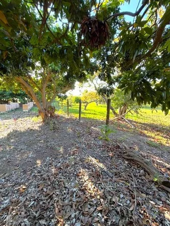 a garden view