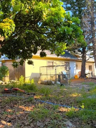 a view of a backyard