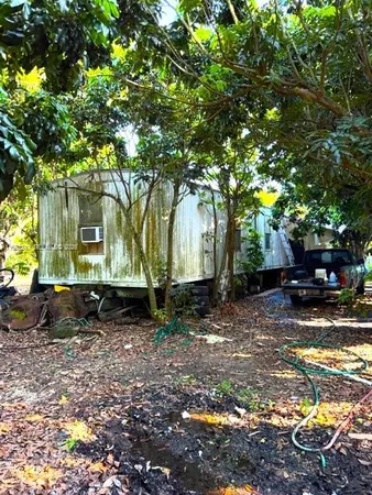 a view of a yard with plants and large trees