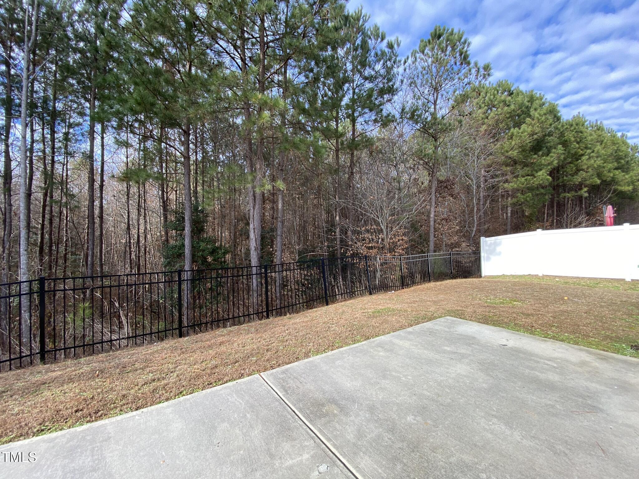 3545 Massey Ridge Court Raleigh, NC 27616 - Photo 34 of 38 a backyard of a house
