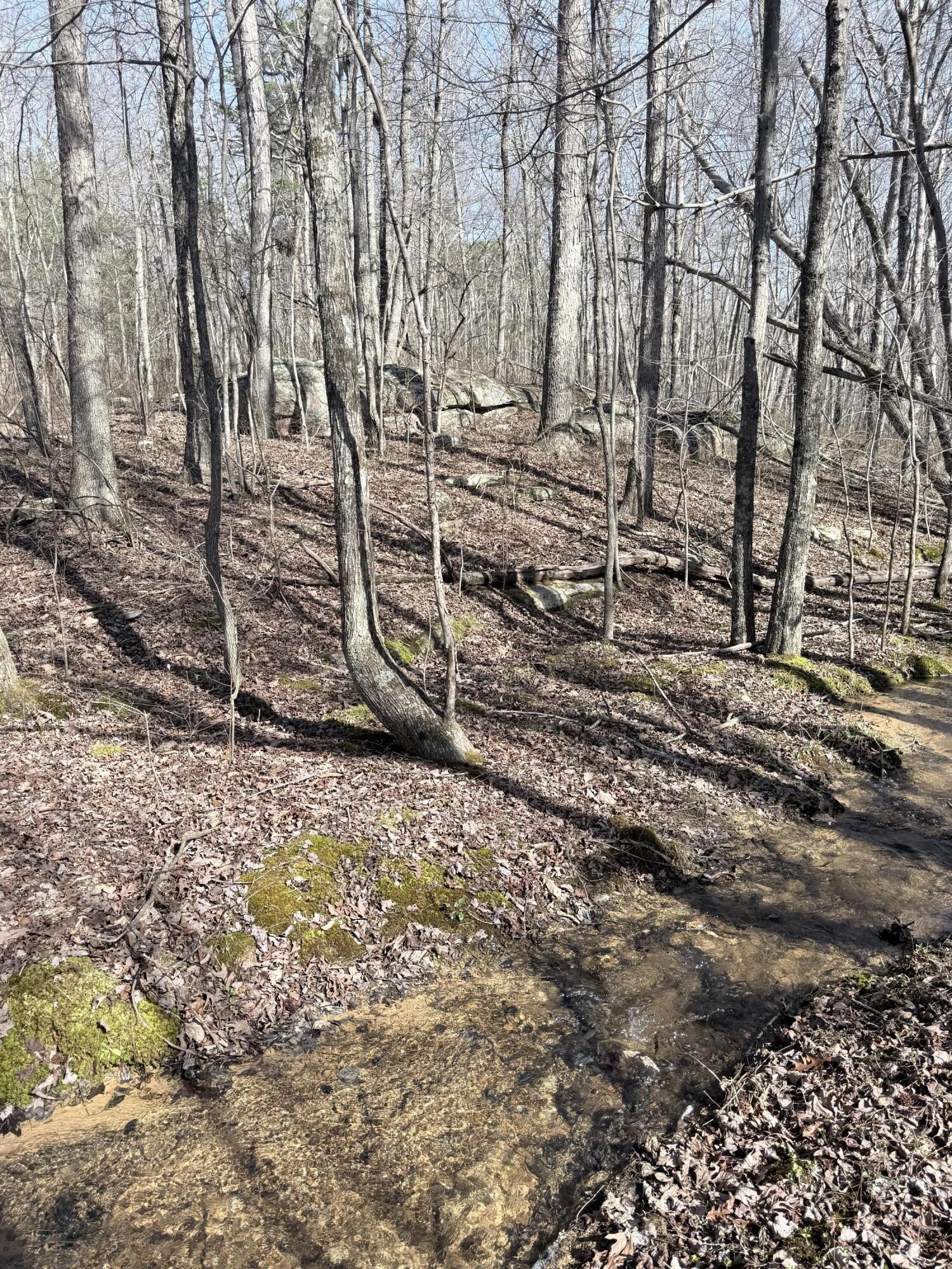 3916 Cummings Road Chattanooga, TN 37419 - Photo 12 of 23 IMG_5246