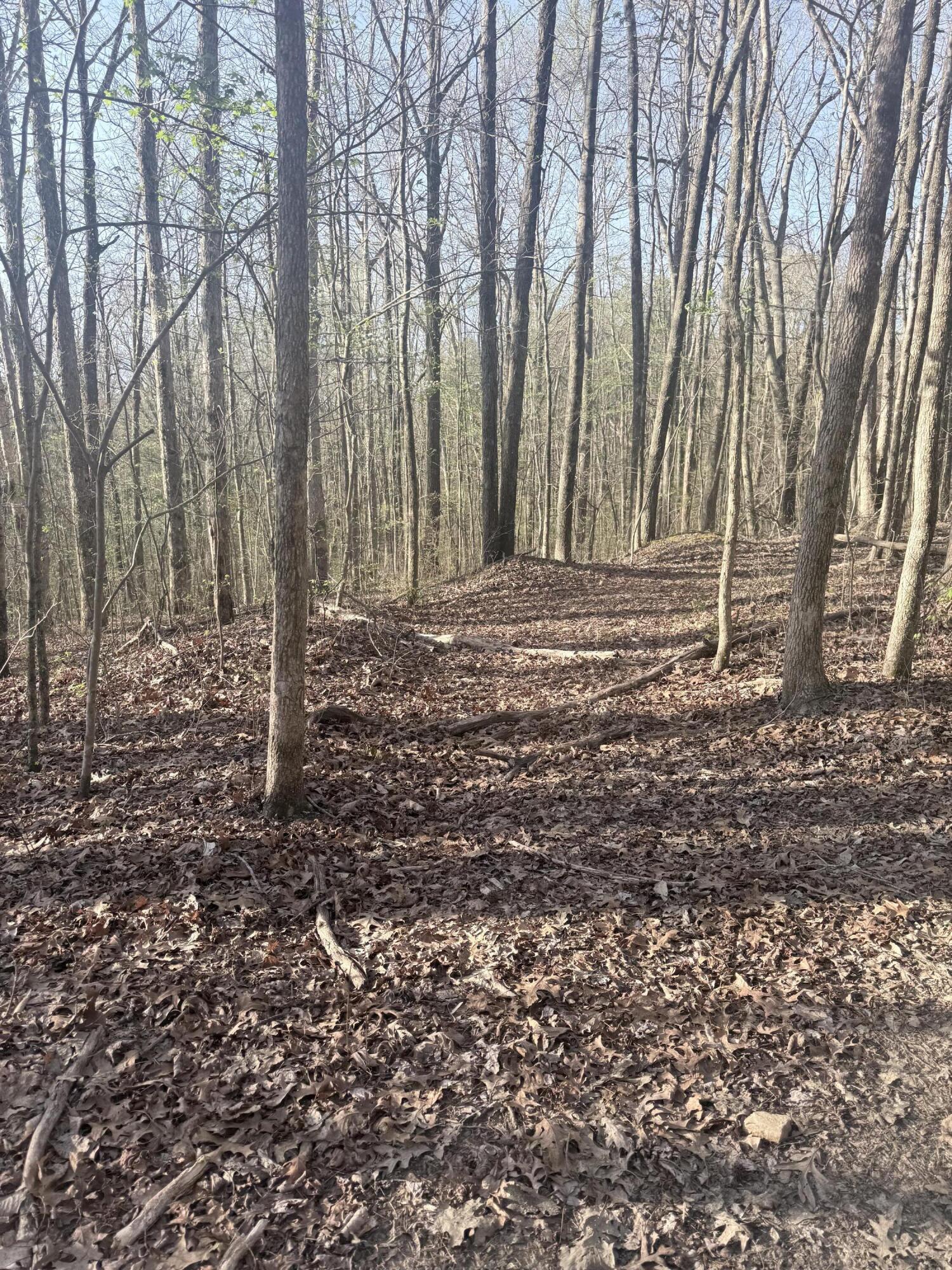 3916 Cummings Road Chattanooga, TN 37419 - Photo 14 of 23 IMG_5930