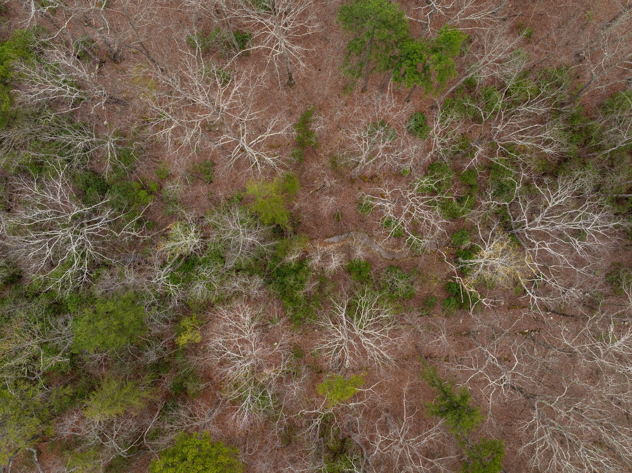 3916 Cummings Road Chattanooga, TN 37419 - Photo 15 of 23 9-web-or-mls-DJI_20260327121351_0530_D-3