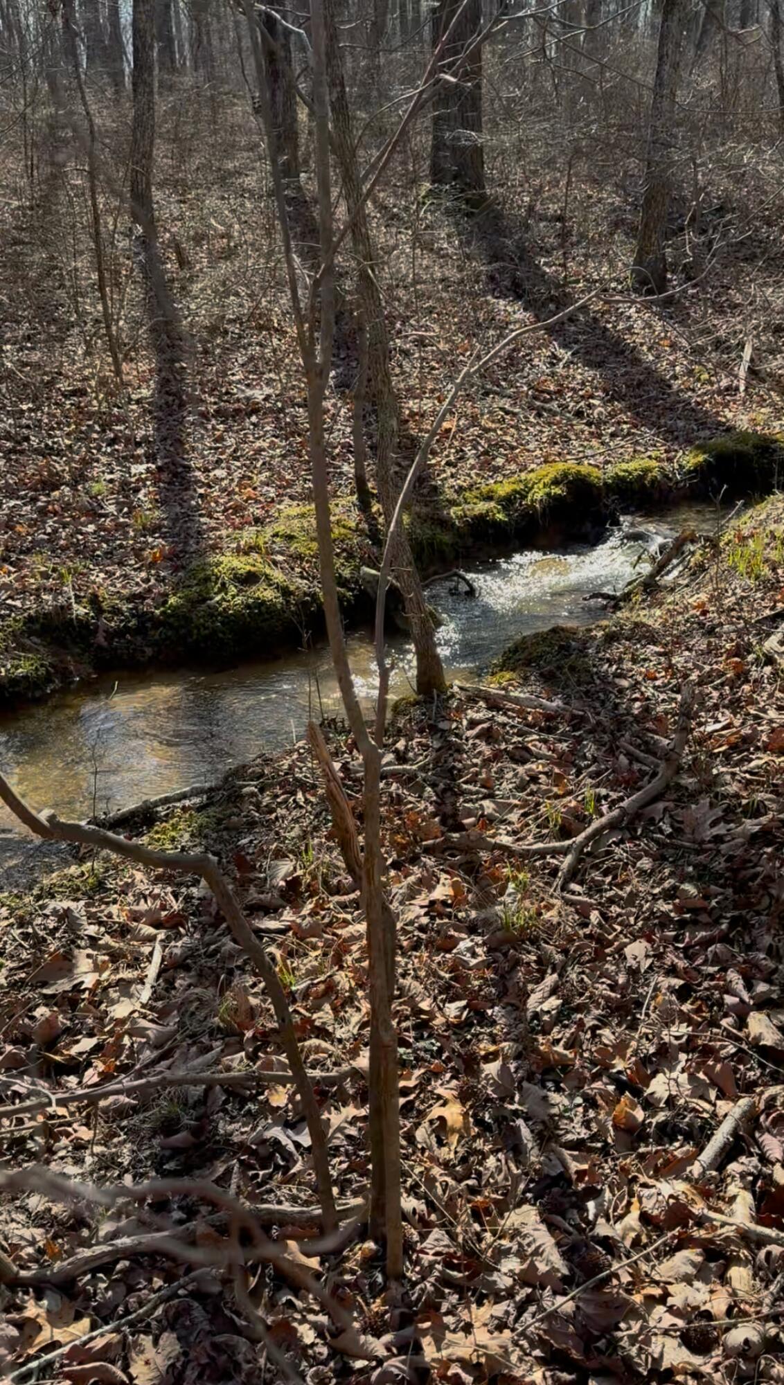3916 Cummings Road Chattanooga, TN 37419 - Photo 2 of 23 View recent photos (1)