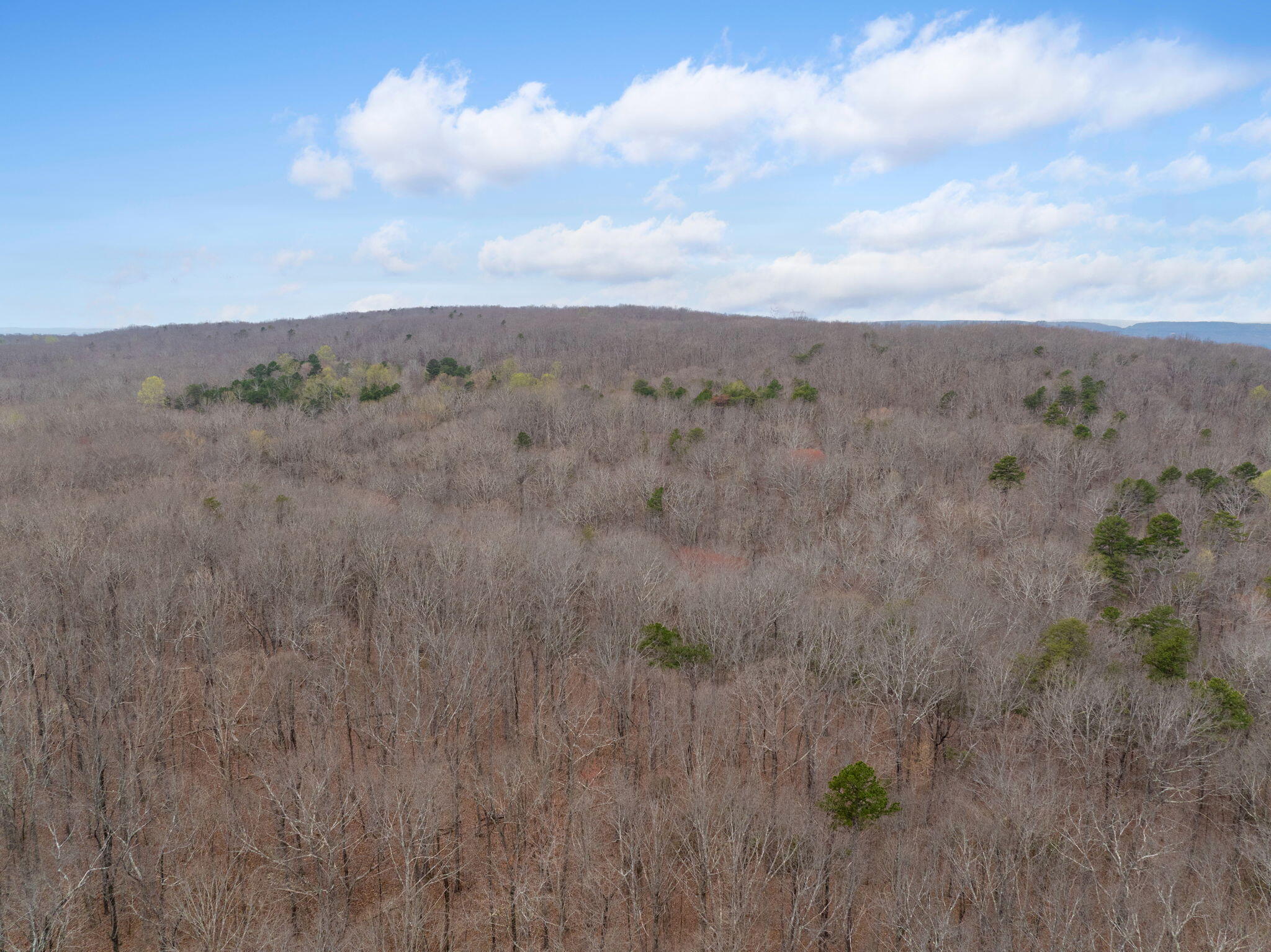 3916 Cummings Road Chattanooga, TN 37419 - Photo 21 of 23 7-web-or-mls-DJI_20260327121321_0528_D-3