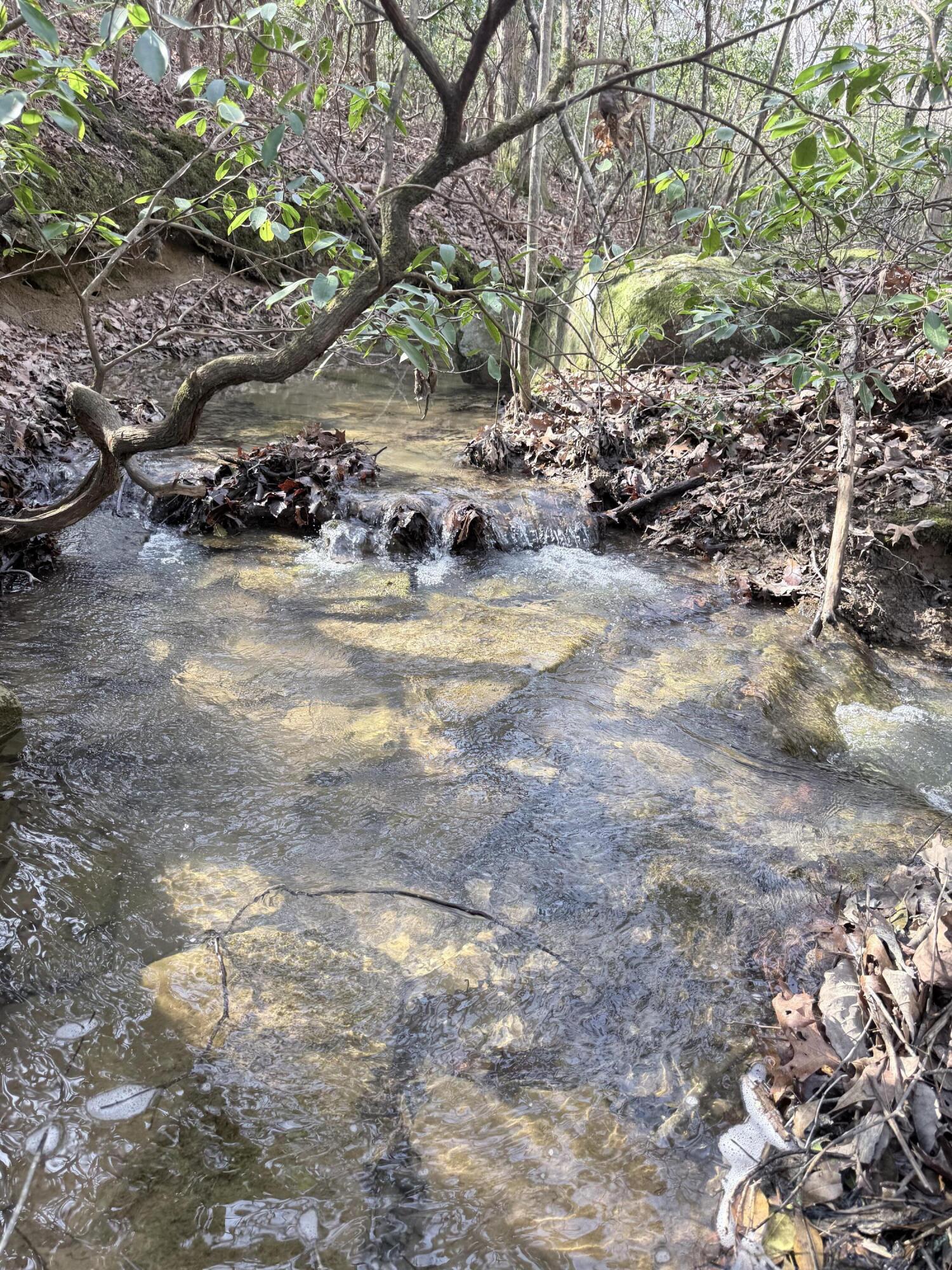 3916 Cummings Road Chattanooga, TN 37419 - Photo 3 of 23 IMG_5235