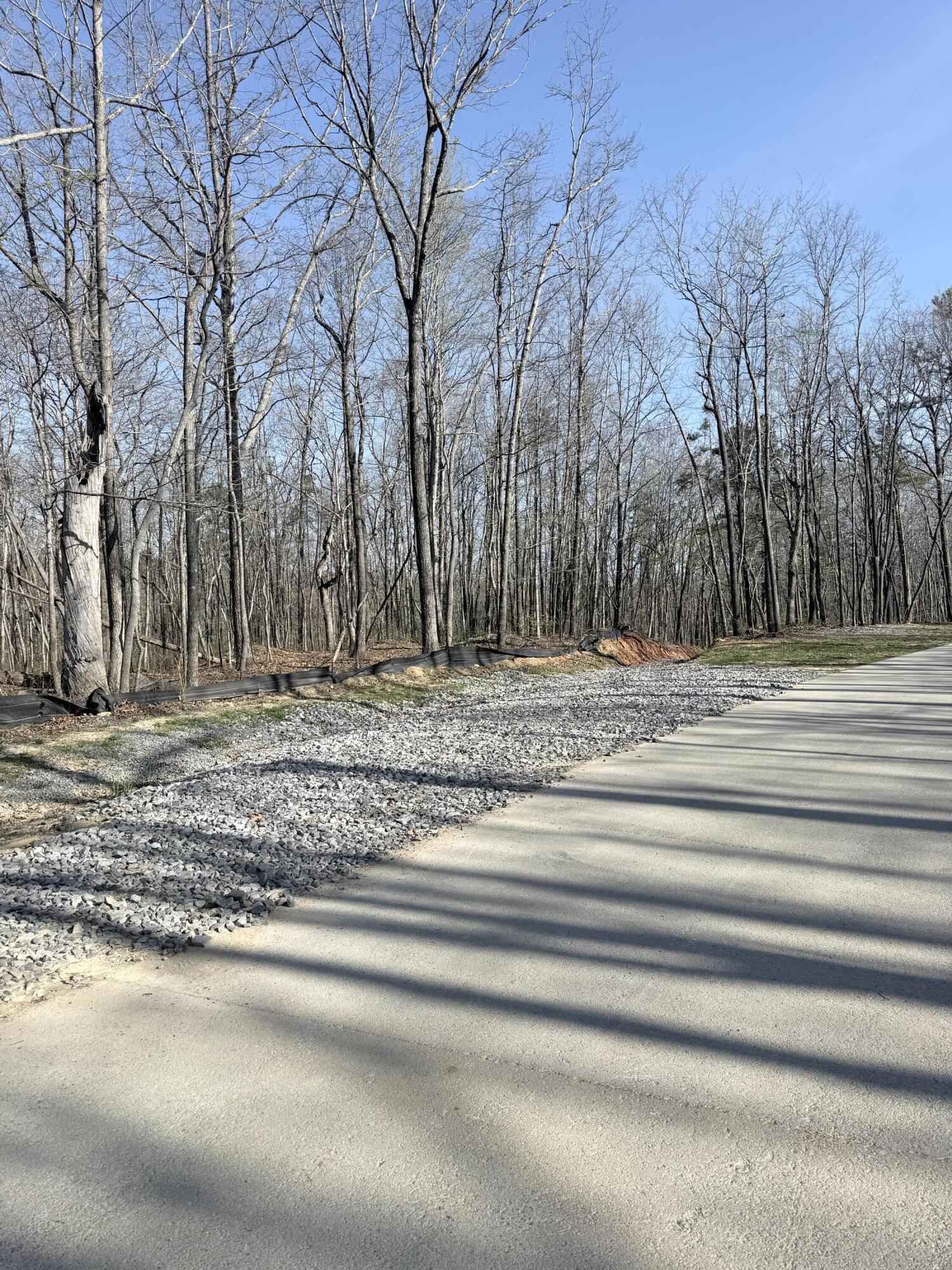 3916 Cummings Road Chattanooga, TN 37419 - Photo 5 of 23 IMG_5943