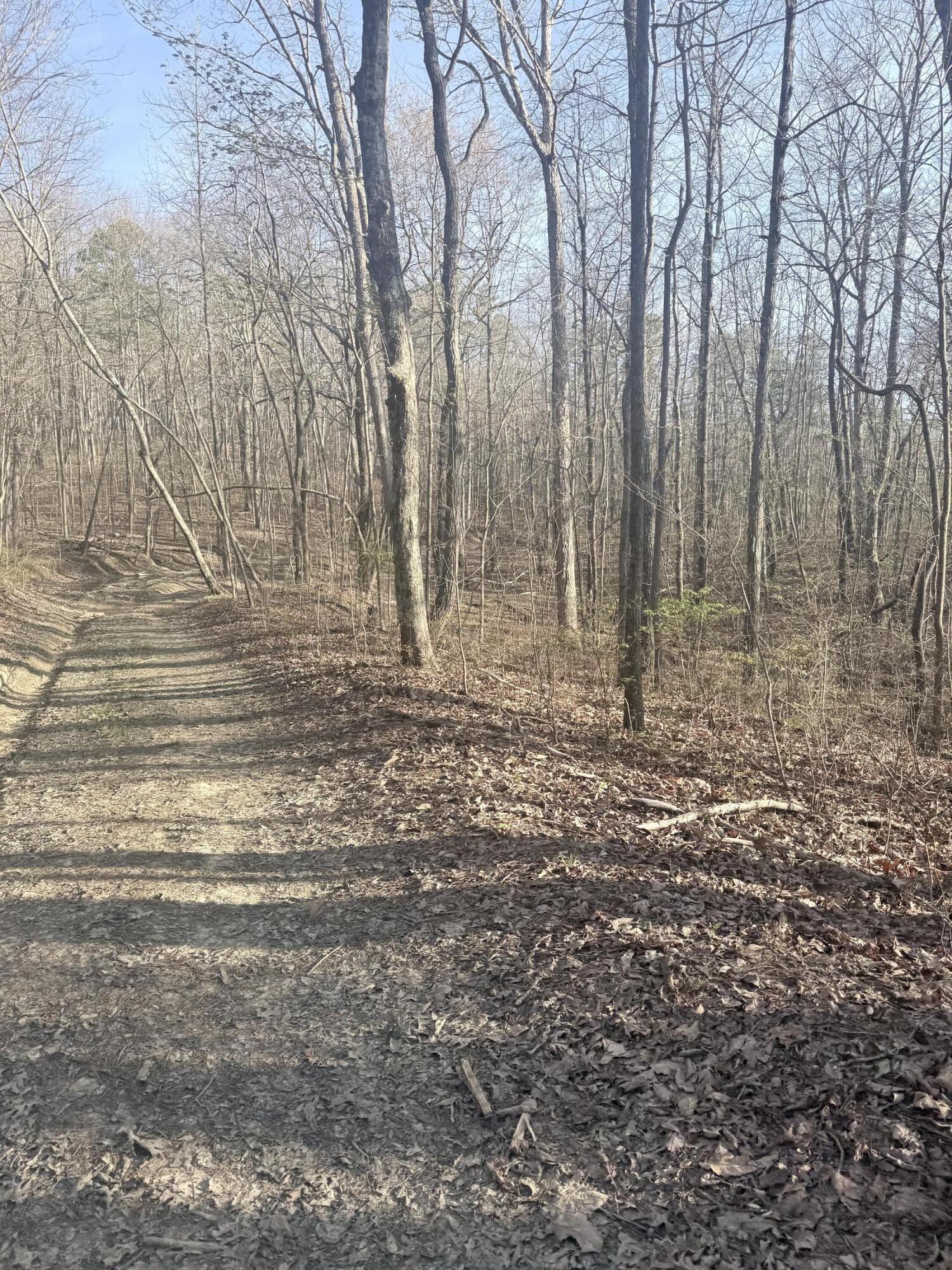 3916 Cummings Road Chattanooga, TN 37419 - Photo 6 of 23 IMG_5924