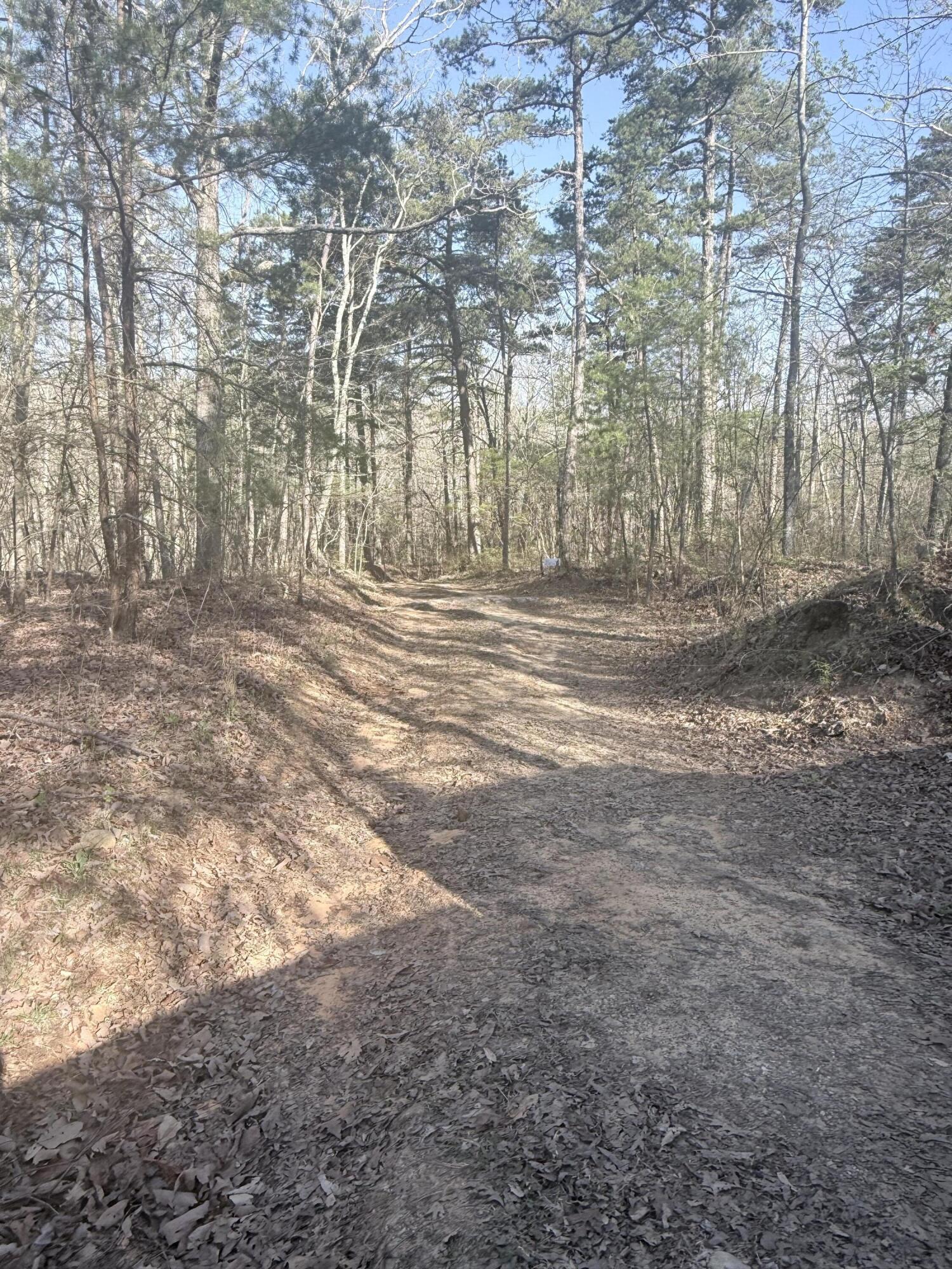 3916 Cummings Road Chattanooga, TN 37419 - Photo 7 of 23 IMG_5942