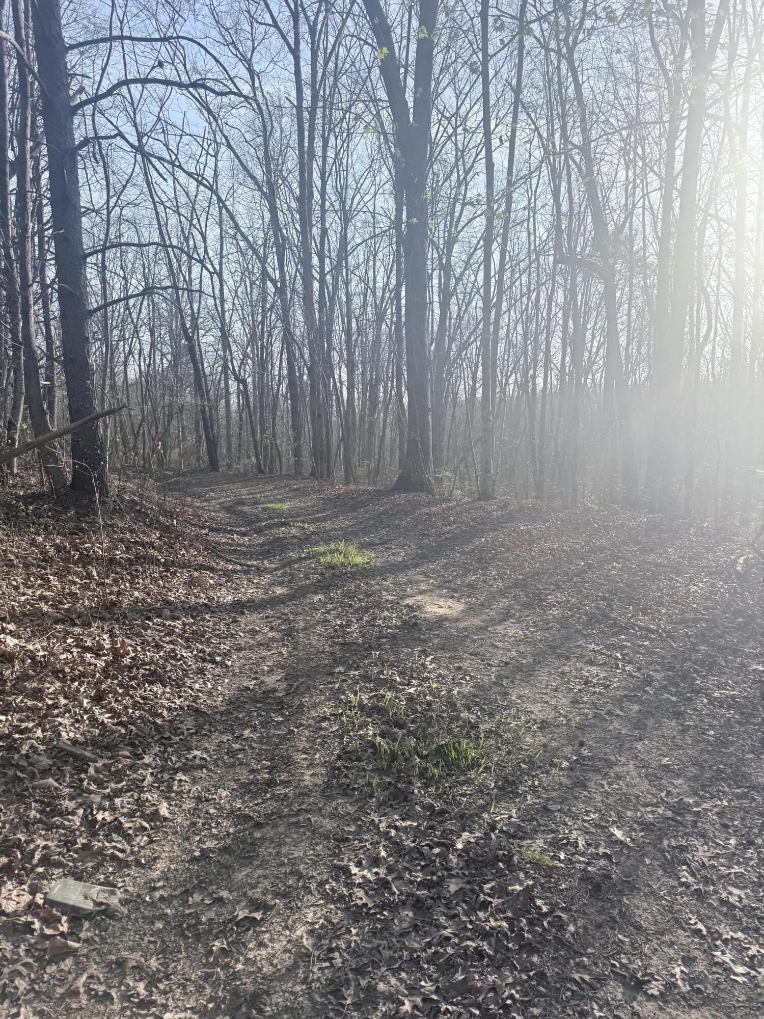 3916 Cummings Road Chattanooga, TN 37419 - Photo 8 of 23 IMG_5923