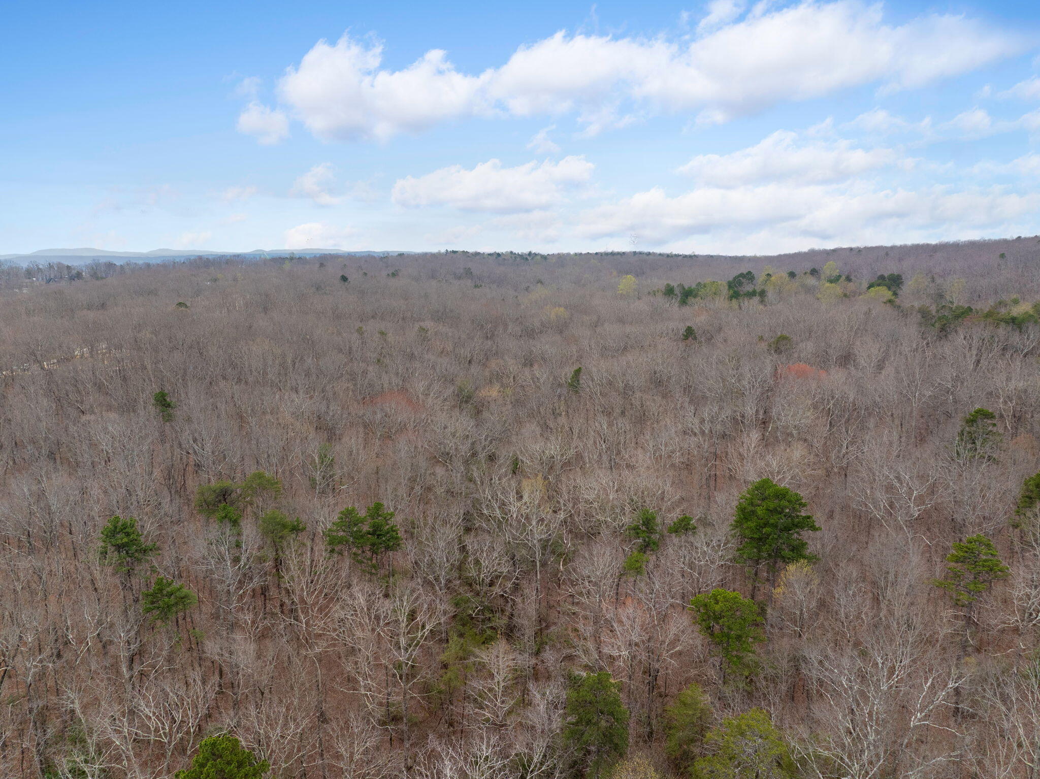 3916 Cummings Road Chattanooga, TN 37419 - Photo 85 of 87 8-web-or-mls-DJI_20260327121342_0529_D-1