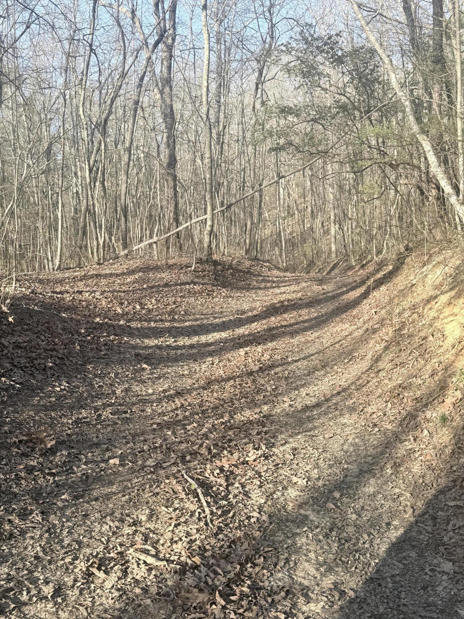 3916 Cummings Road Chattanooga, TN 37419 - Photo 9 of 23 IMG_5928