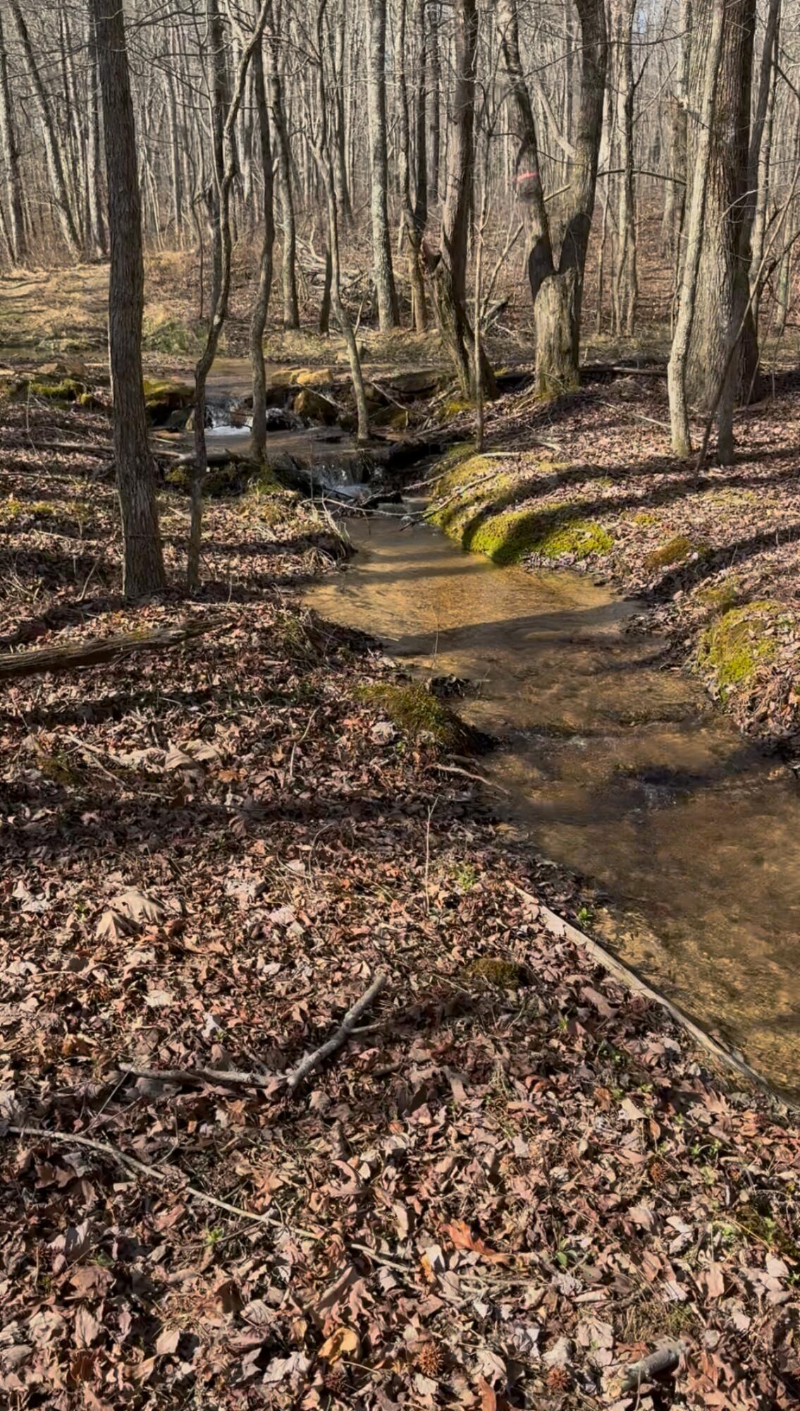 3916 Cummings Road Chattanooga, TN 37419 - Photo 10 of 23 View recent photos