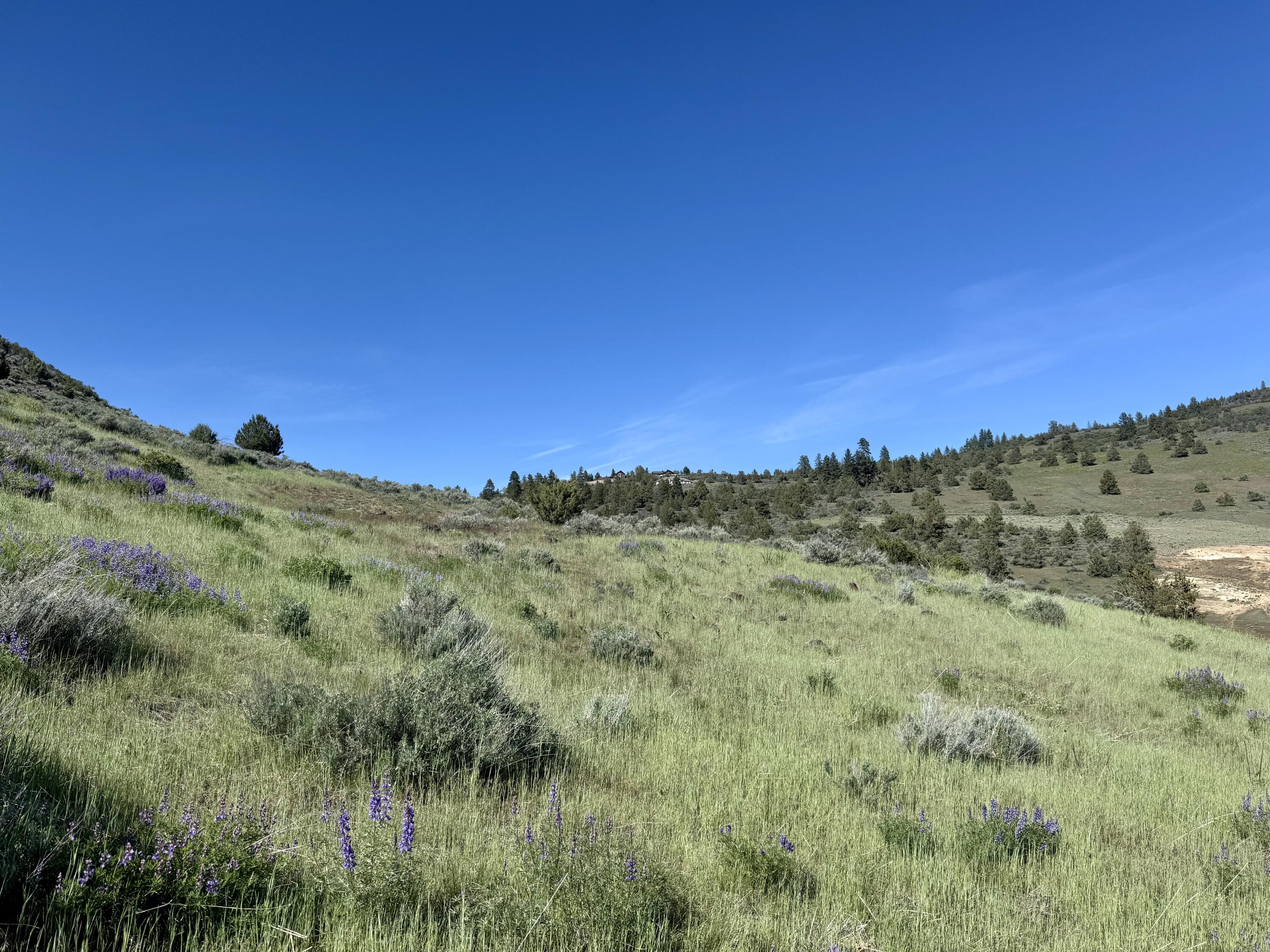0 Plum Hill Road, Unit LOT 702 Klamath Falls, OR 97601 - Photo 15 of 21