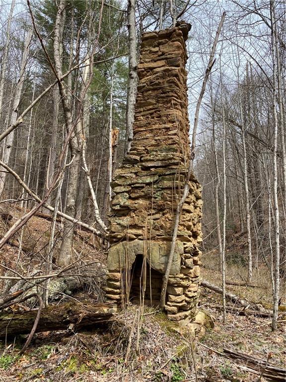 Tbd Brummett Cr Road Green Mountain, NC 28740 - Photo 13 of 36 a view of building