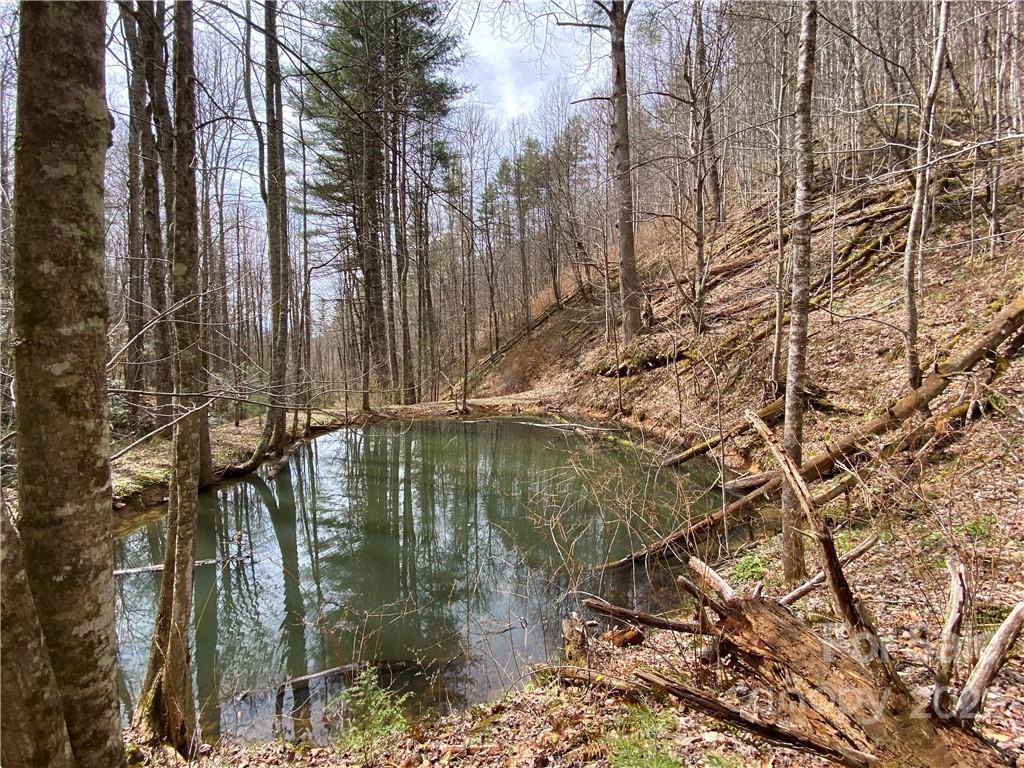 Tbd Brummett Cr Road Green Mountain, NC 28740 - Photo 15 of 36 a view of swimming pool with a yard