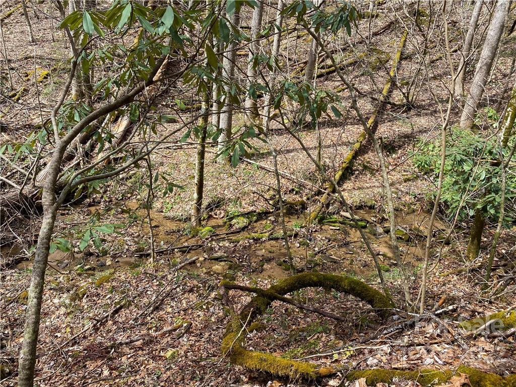Tbd Brummett Cr Road Green Mountain, NC 28740 - Photo 16 of 36 a view of a tree