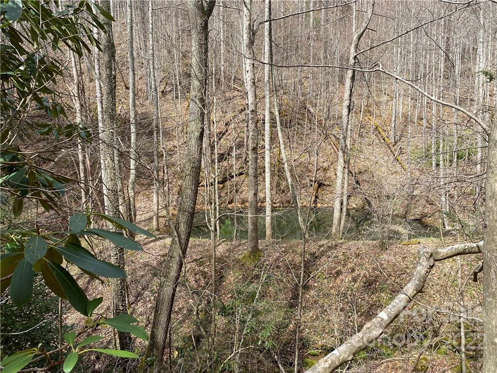 Tbd Brummett Cr Road Green Mountain, NC 28740 - Photo 17 of 36