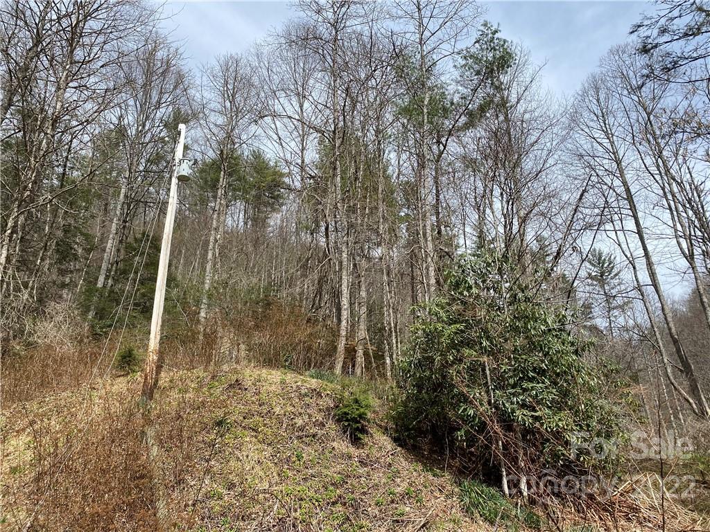 Tbd Brummett Cr Road Green Mountain, NC 28740 - Photo 2 of 36 a view of a pathway of a yard