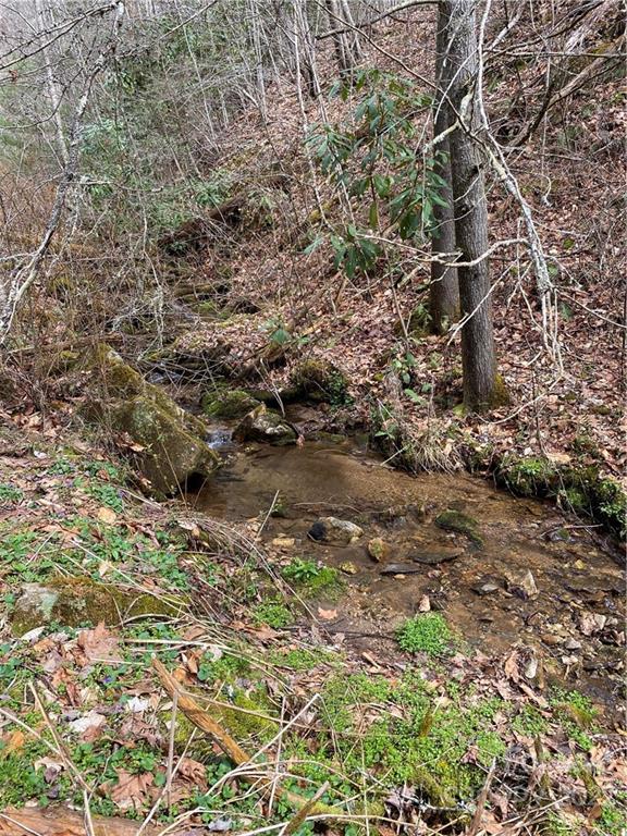 Tbd Brummett Cr Road Green Mountain, NC 28740 - Photo 22 of 36 a view of a forest with a tree