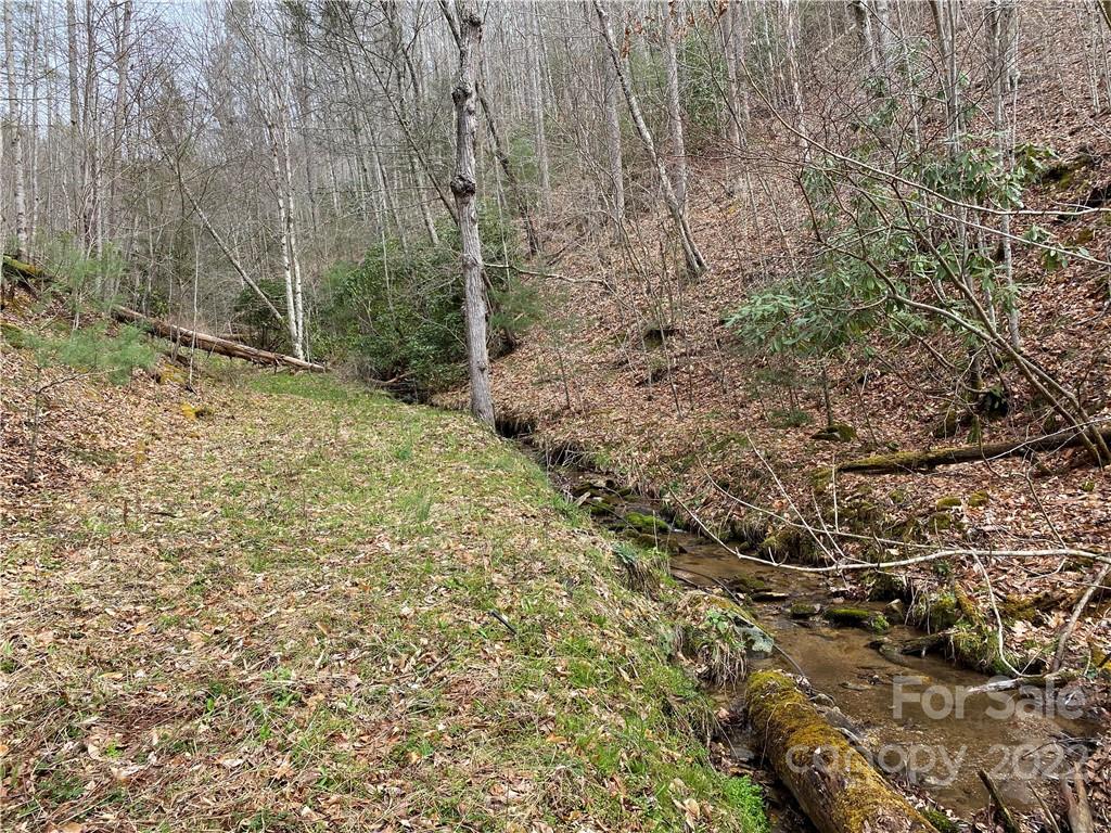 Tbd Brummett Cr Road Green Mountain, NC 28740 - Photo 25 of 36 a view of a yard with plants and wooden fence