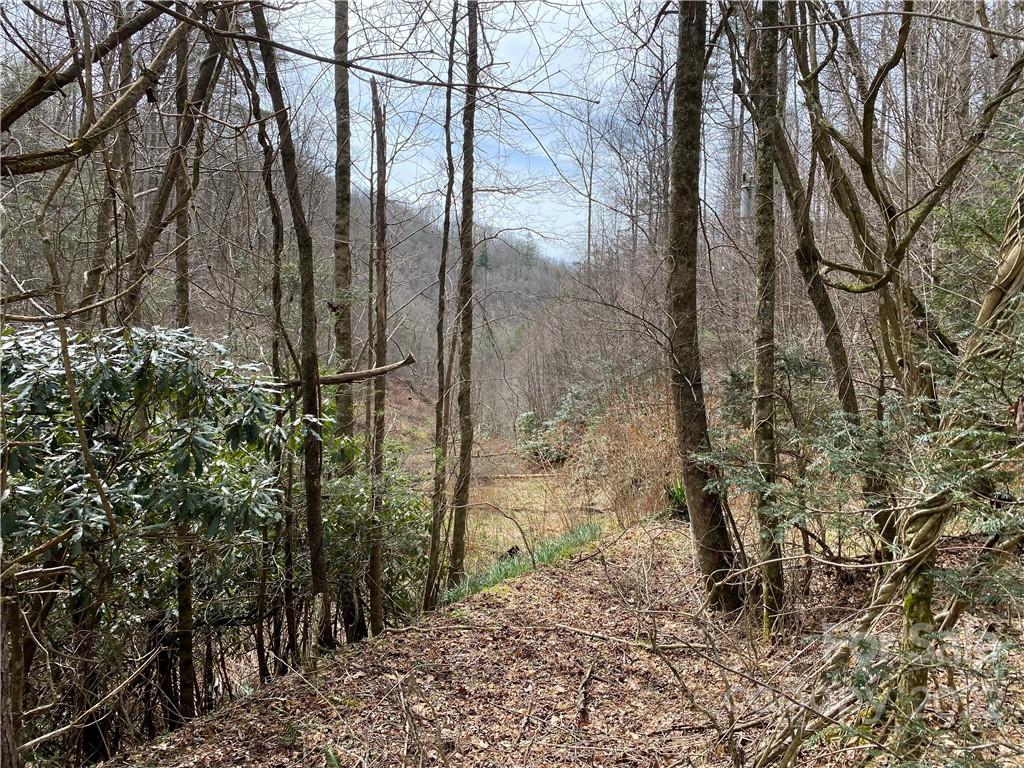Tbd Brummett Cr Road Green Mountain, NC 28740 - Photo 27 of 36 a view of a backyard of the house