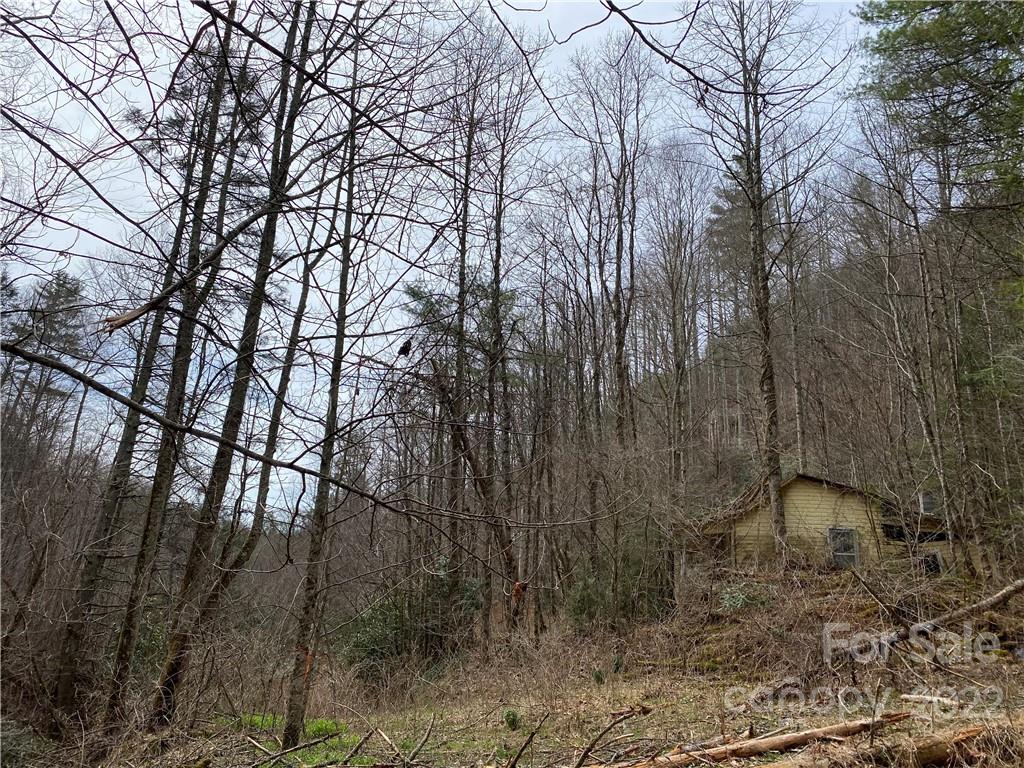 Tbd Brummett Cr Road Green Mountain, NC 28740 - Photo 28 of 36 a backyard of a house with lots of trees