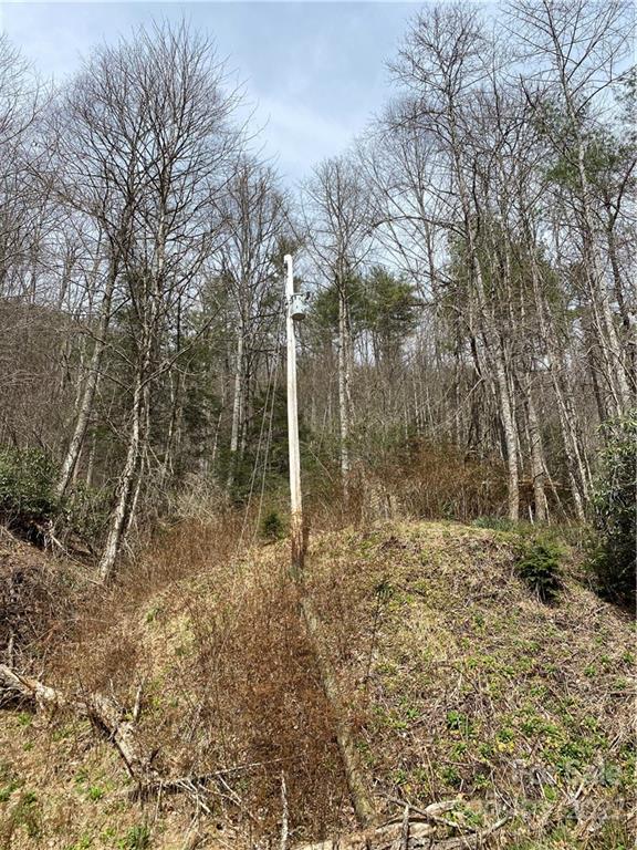 Tbd Brummett Cr Road Green Mountain, NC 28740 - Photo 3 of 36 a backyard of a house