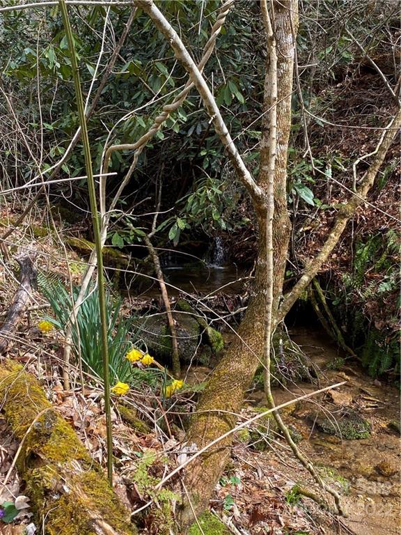Tbd Brummett Cr Road Green Mountain, NC 28740 - Photo 34 of 36