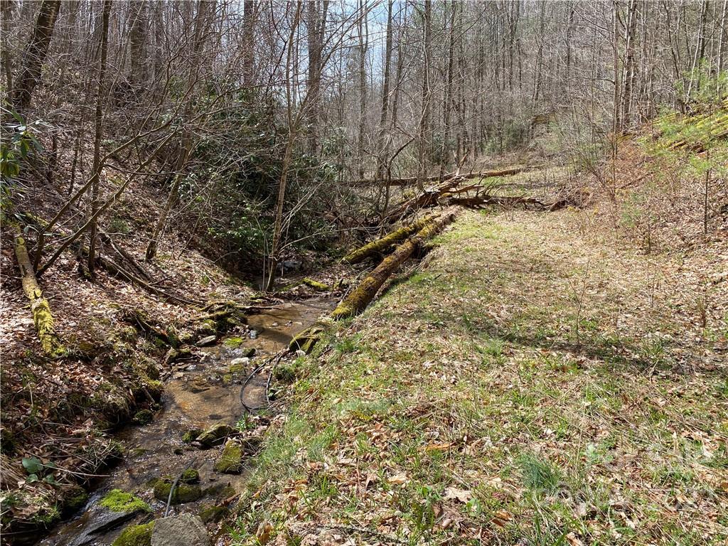 Tbd Brummett Cr Road Green Mountain, NC 28740 - Photo 4 of 36 a view of a yard with trees