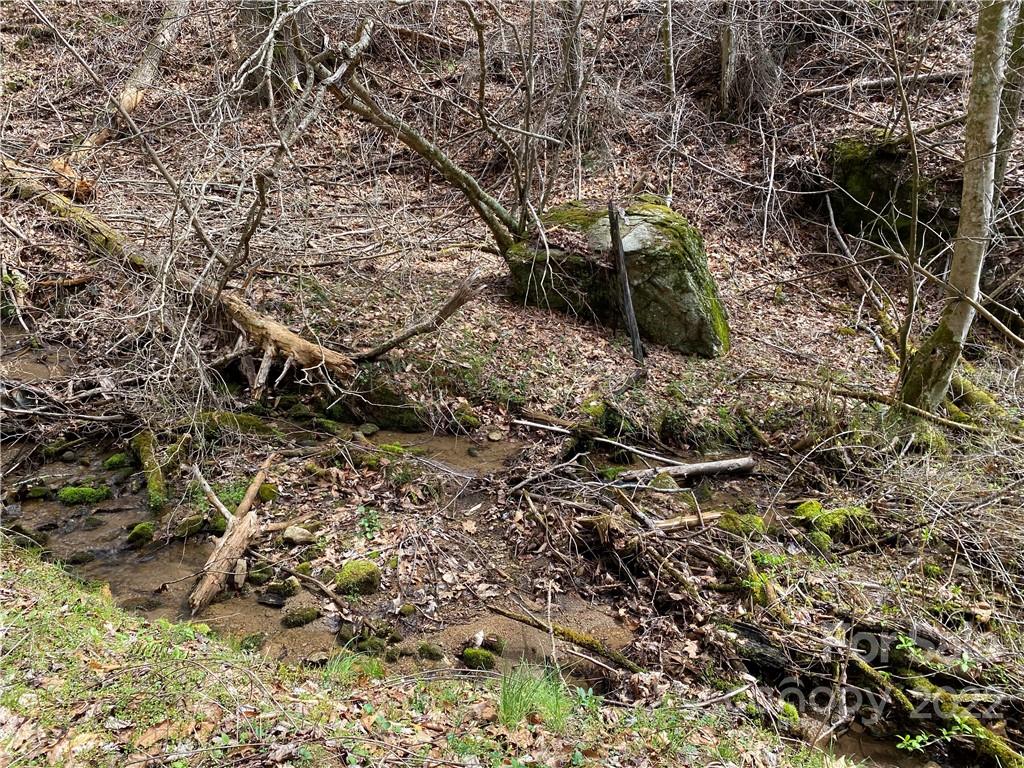 Tbd Brummett Cr Road Green Mountain, NC 28740 - Photo 5 of 36 a view of a yard with plants and trees